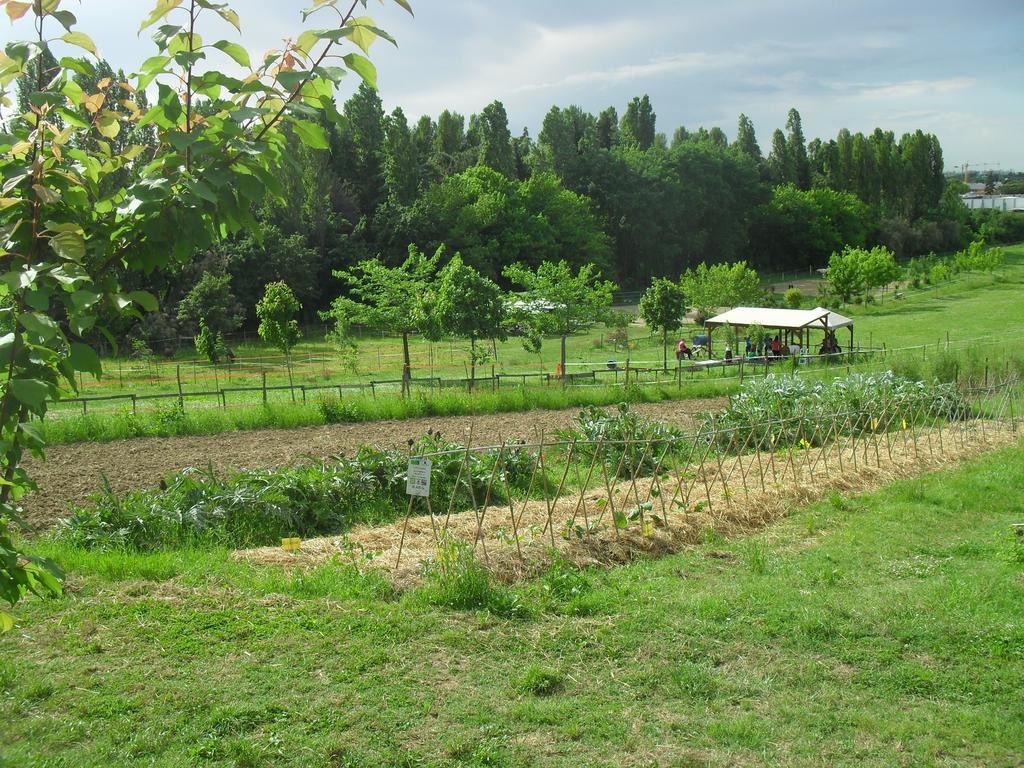 Farm stay Mori